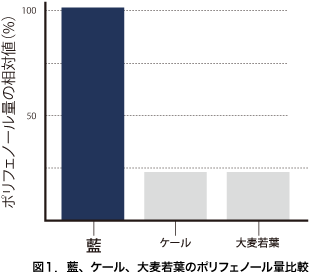 図１. 藍、ケール、大麦若葉のポリフェノール量比較