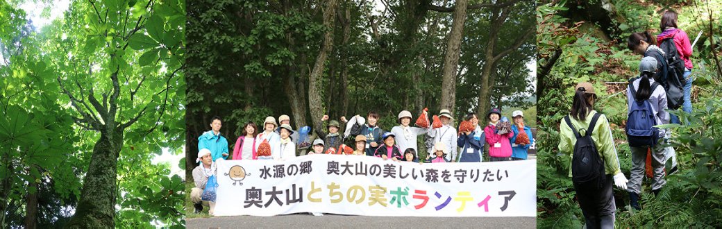 奥大山とちの実ボランティア